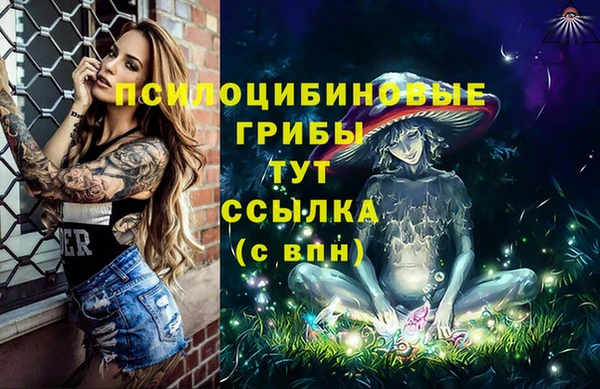 мдпв Балахна