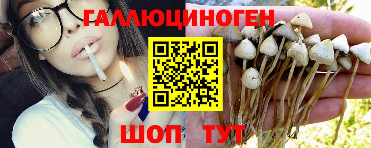 Галлюциногенные грибы MAGIC MUSHROOMS  Вход с VPN  Корсаков  Псилоцибиновые грибы ЛСД 