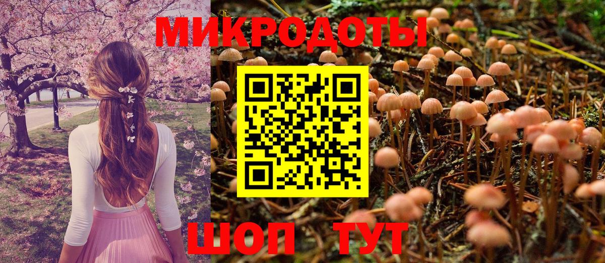 Галлюциногенные грибы мухоморы Корсаков
